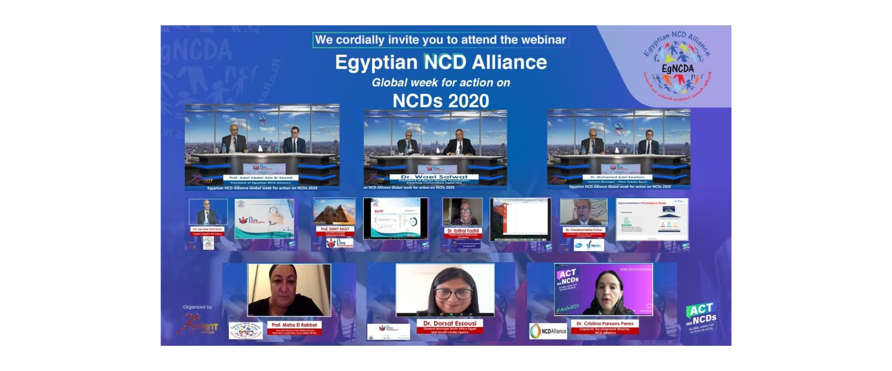 The Egyptian NCD alliance is bridging the accountability gap for progress on NCDs