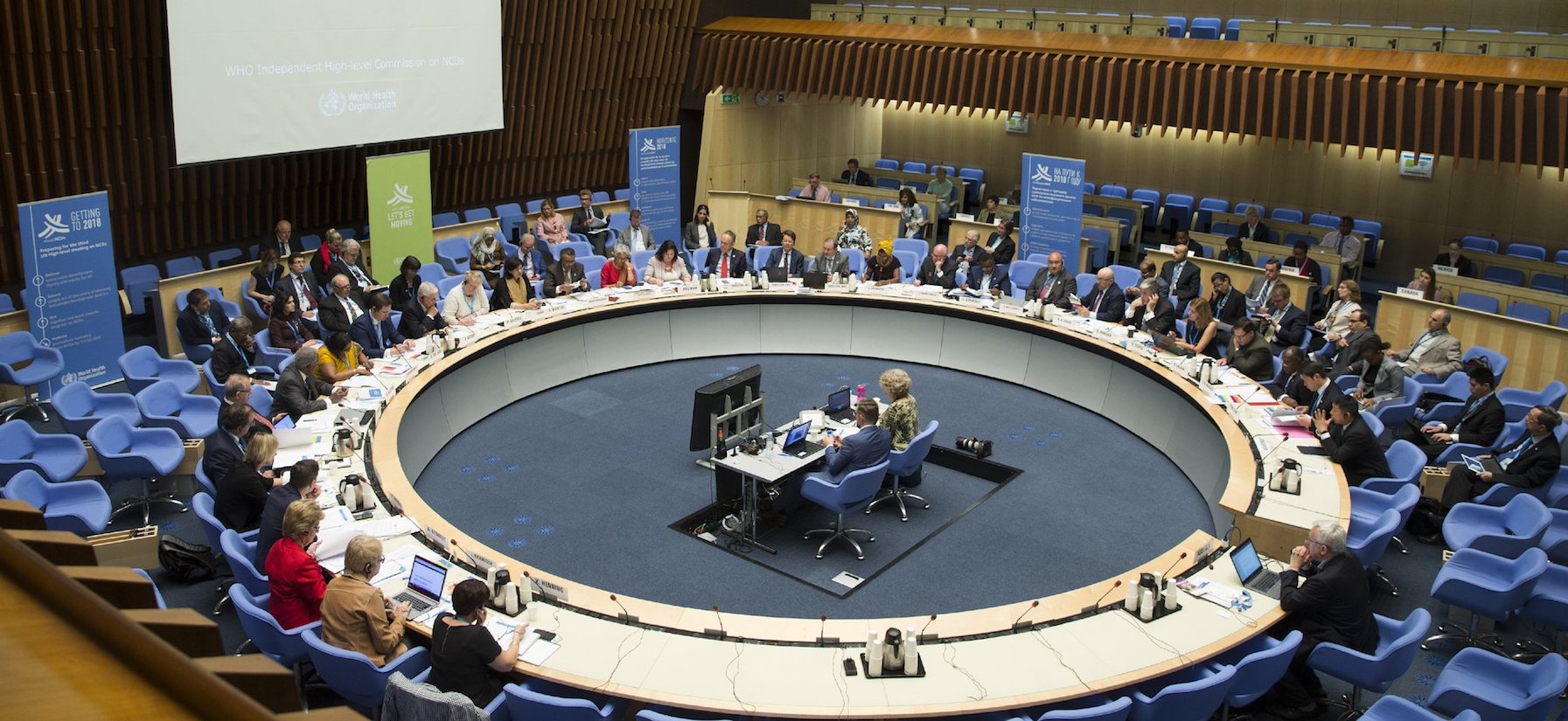 Consultation now open: preliminary report of WHO High-Level Commission 
