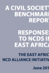 A civil society benchmark report: Responses to NCDs in East Africa
