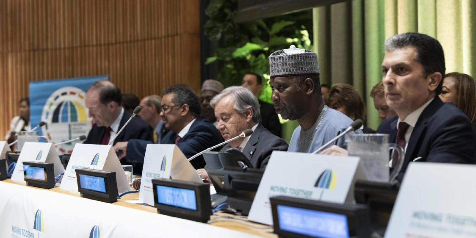 UN High-level Meeting on Universal Health Coverage, 23 September 2019, New York, US © UN Photo/Kim Haughton