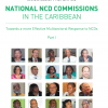 Healthy Caribbean Coalition launches civil society report on National NCD Commissions