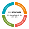 Plan Estratégico de la Alianza de ENT 2016-2020