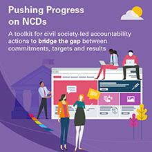 Pushing for Progress - Accountability Toolkit
