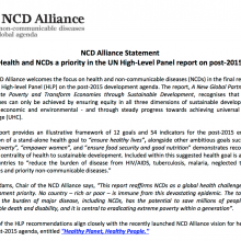 NCD Alliance Statement on UNHLP Report