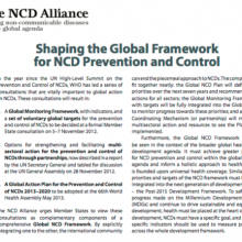 Shaping the Global Framework for NCD Prevention and Control