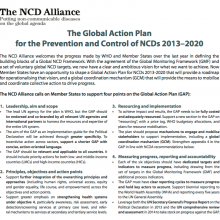 Proposal: The Global Action Plan for the Prevention and Control of NCDs 2013–2020