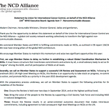 Statement on NCD Agenda Item