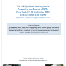 UN High Level Meeting on NCDs - Report