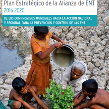 Plan Estratégico de la Alianza de ENT 2016-2020