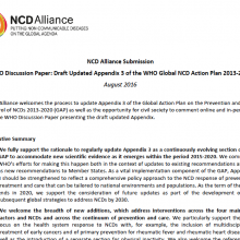NCD Alliance comments on the Updated Appendix 3