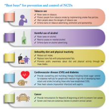Advocacy Docket: What are the &quot;best buys&quot; for prevention and control of NCD?
