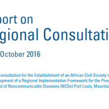 WHO African Region - Consultation Report