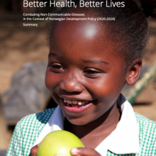 Better Health, Better Lives - Norway&#039;s development strategy on NCDs
