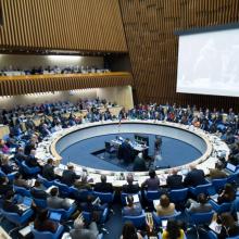Photo of the 142nd meeting of the WHO Executive Board