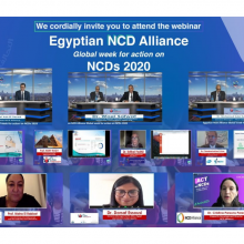 The Egyptian NCD alliance is bridging the accountability gap for progress on NCDs