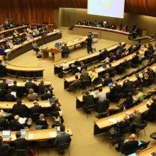 70th session of the WHO World Health Assembly (WHA70)