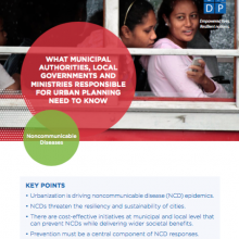 Sectoral Brief: Local Governments